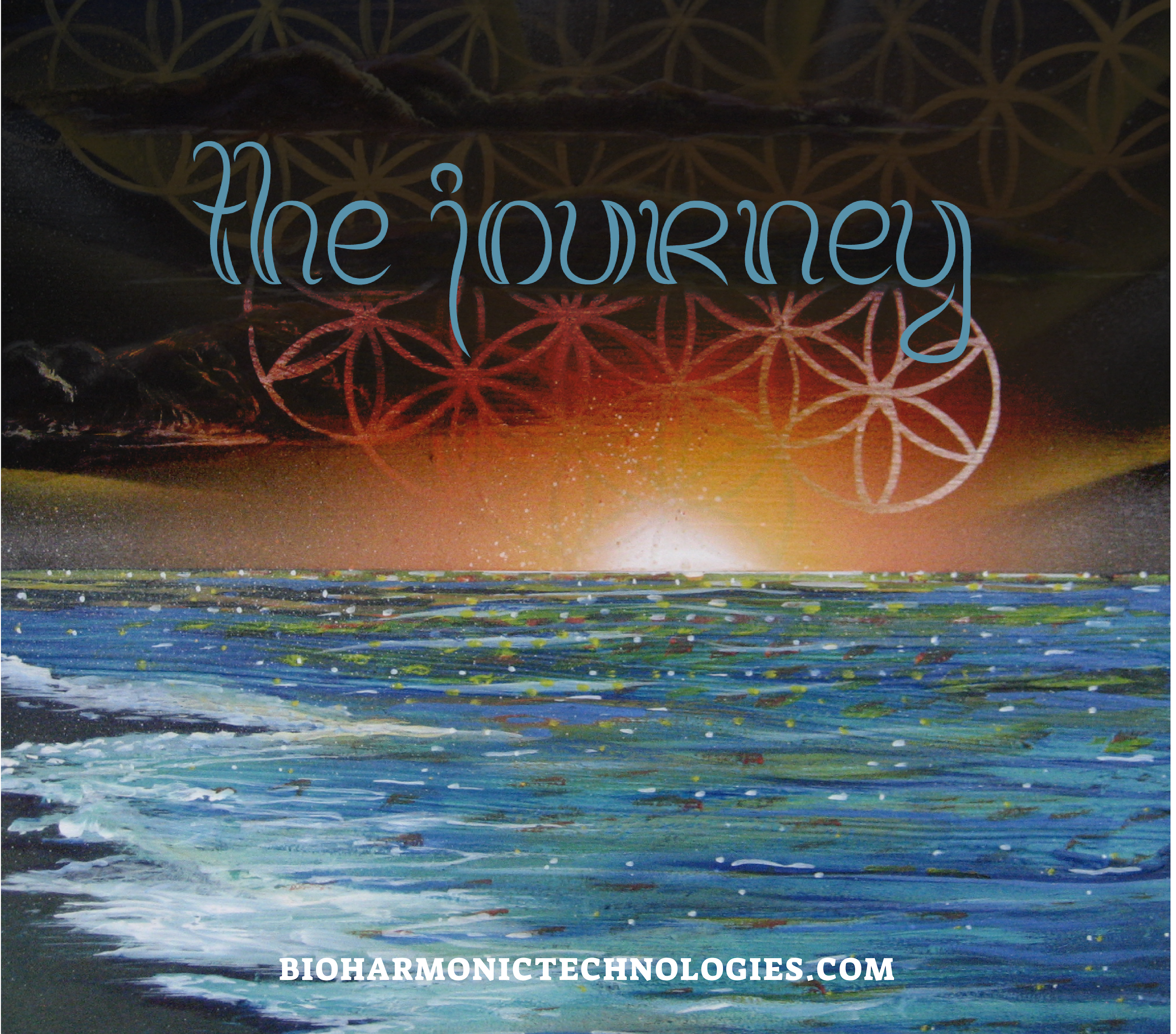 Music Collection - The Journey