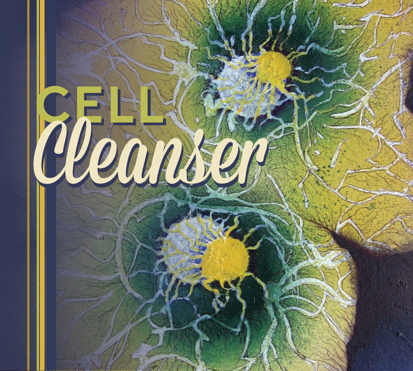 Music Collection - Cell Cleanser