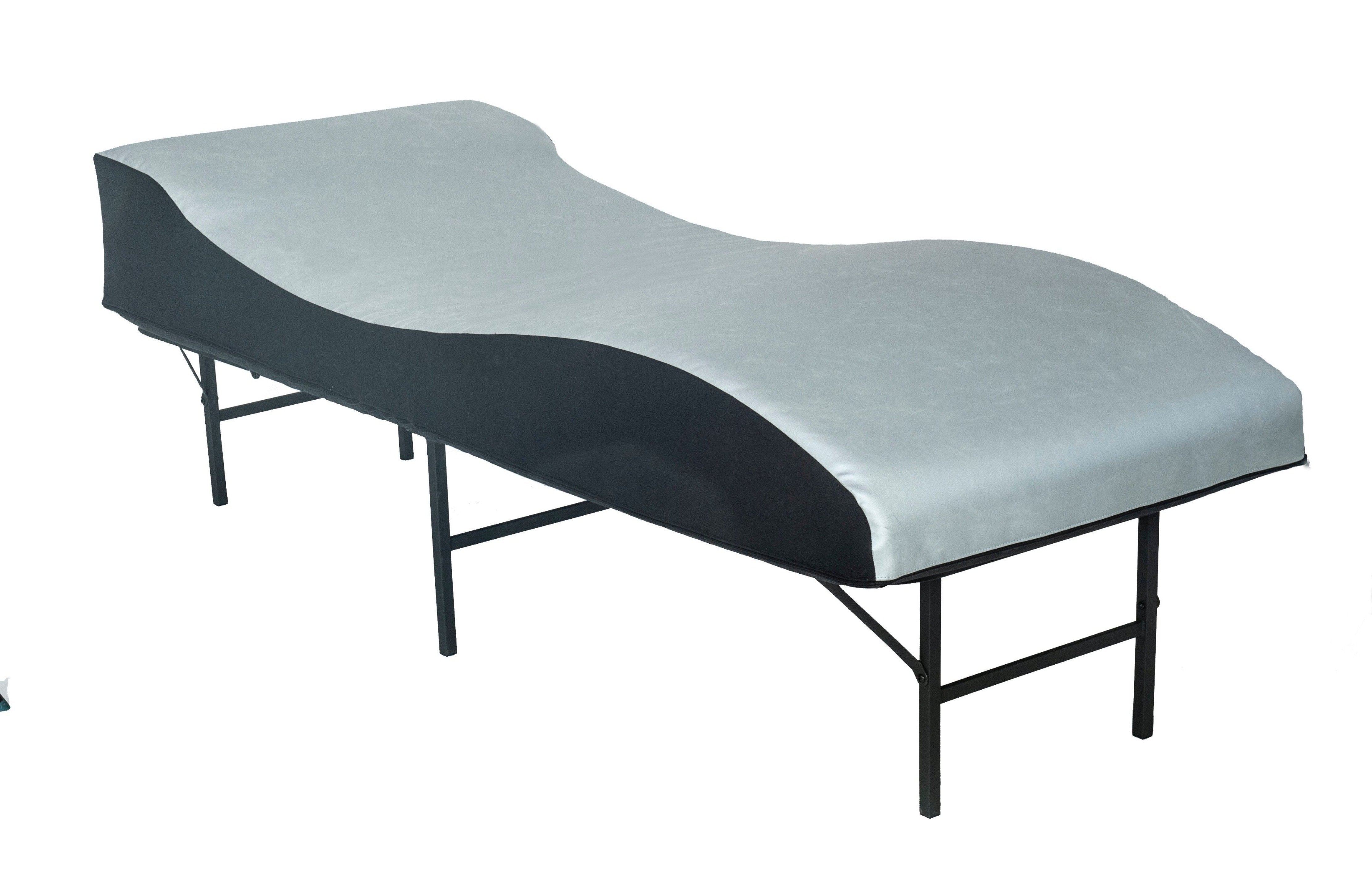 V.I.B.E 3.1 Professional Grade Wellness System (Argentina)